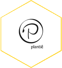 Plantiê